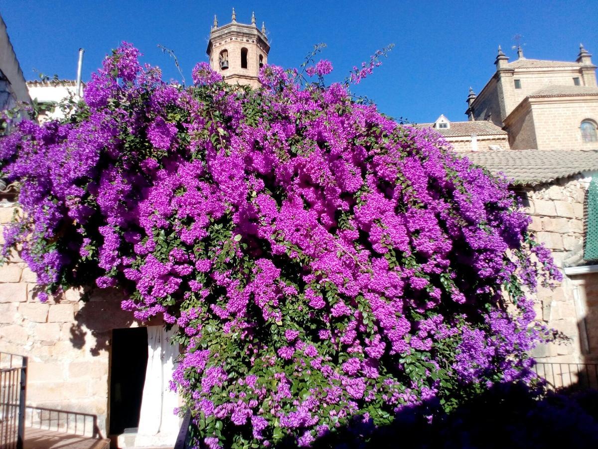 帕拉西奥古姿曼酒店 Baños de la Encina 外观 照片